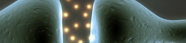 glowne
