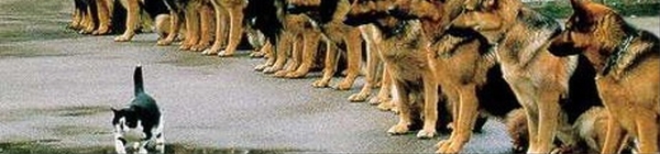 self_Confidence